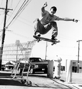 Black and White Nose Slide